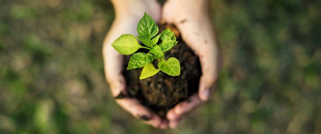 Sustentabilidade