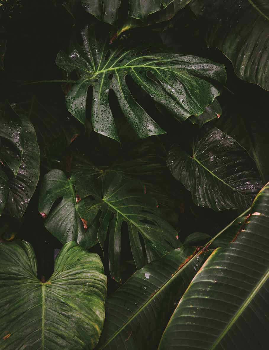 Natureza