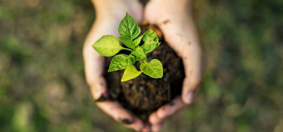 Sustentabilidade