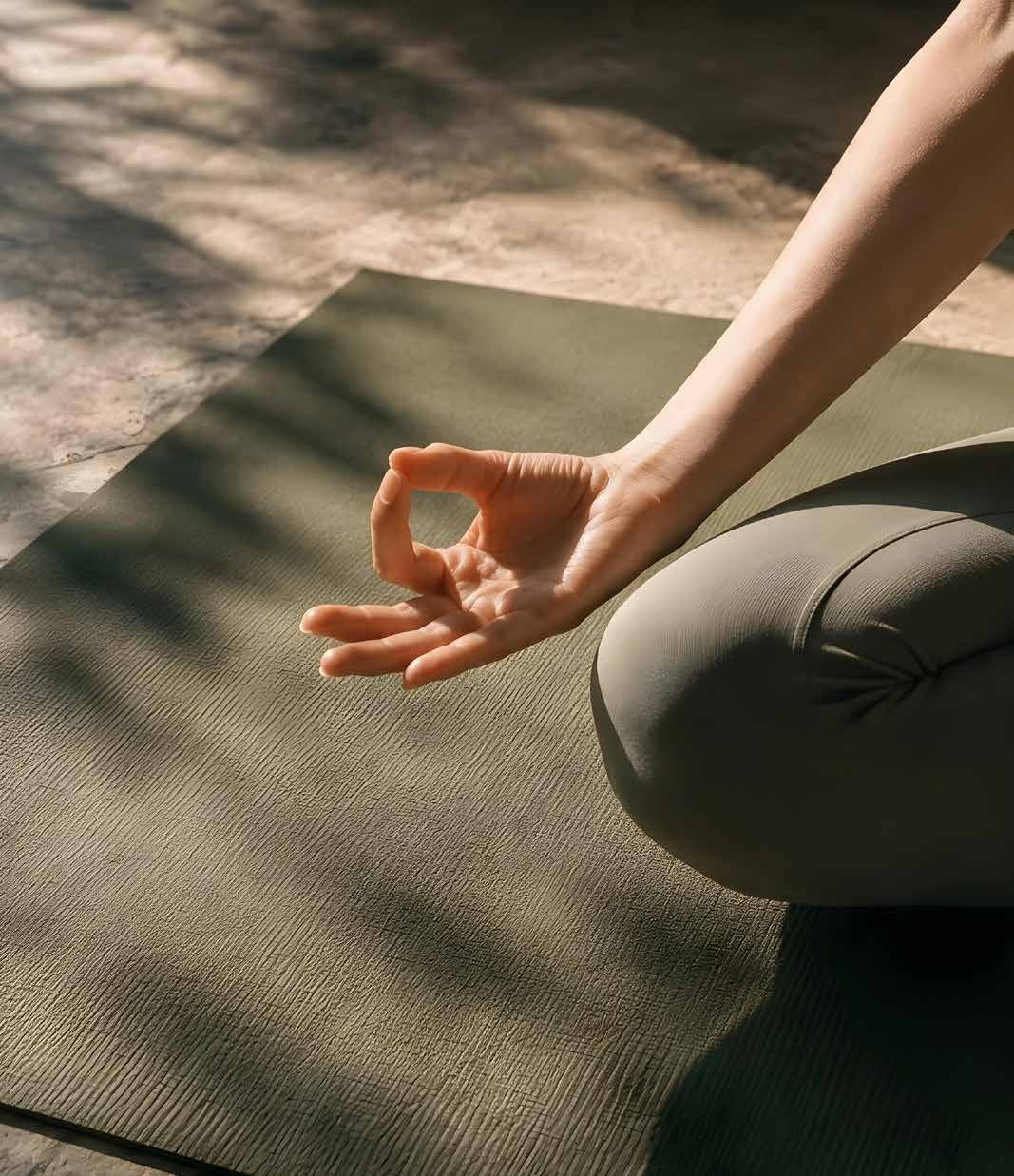 Meditação