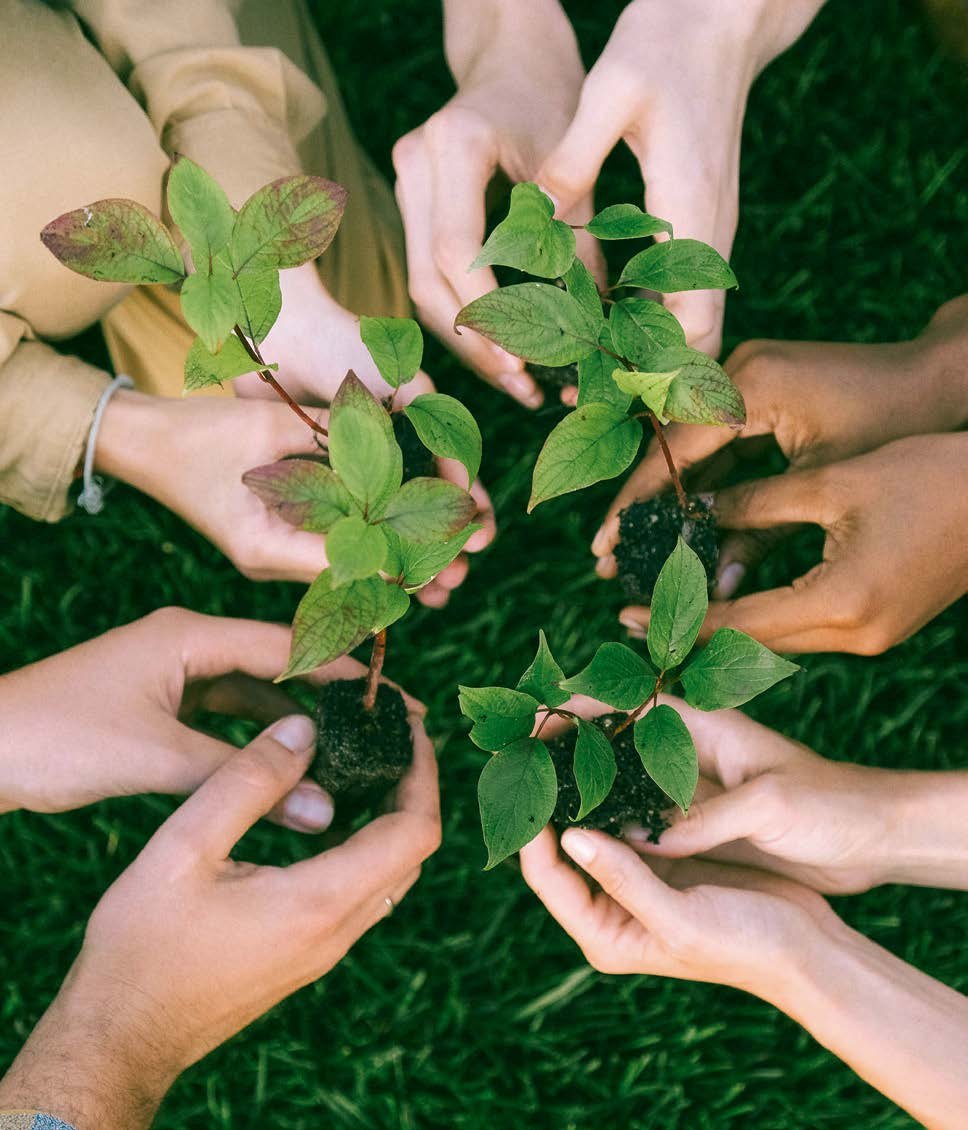 Sustentabilidade